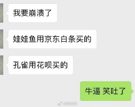 双十一购物荒谬冠军是什么梗？网友买了孔雀娃娃鱼！