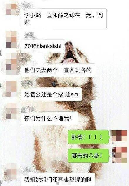 贾乃亮姐姐发文怒怼网友:你才是双,你们全家都是双