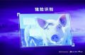 京东宣布进军养猪业 “猪脸识别”是什么？京东养猪怎么回事？