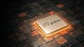 AMD：与美国政府密切合作 利益第一