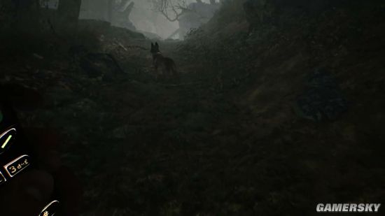恐怖冒险《布莱尔女巫》新预告 与忠犬逃出扭曲密林