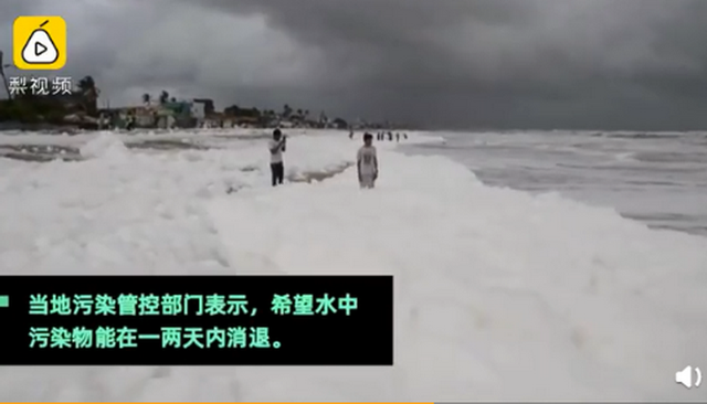印度海滩堆满白色有毒泡沫 印度毒泡沫海滩在哪里有什么危害