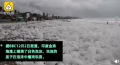 印度海滩堆满白色有毒泡沫 印度毒泡沫海滩在哪里有什么危害