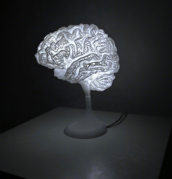 网友用3D打印技术把自己的“大脑”搞成了台灯