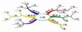 思维导图软件哪个好 工作学习必备思维导图软件盘点