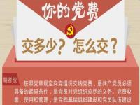 党费收缴标准2020_普通党费一年多少钱_党员老了后有什么待遇