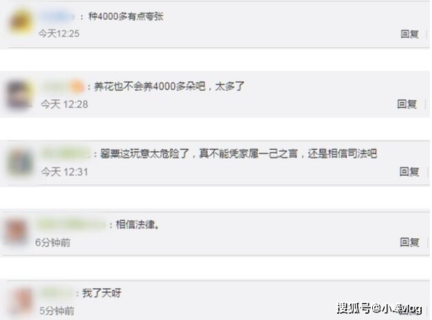 75岁老太误种被判5年什么情况？家属坦言直到被抓才知不是花