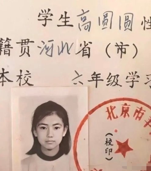 高圆圆小学时的证件照曝光 网友大赞果然从小美到大