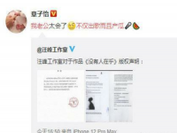 章子怡我老公不仅出歌而且产瓜怎么回事？汪峰新歌封面惹议