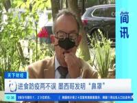 发明墨西哥新型鼻子口罩 鼻子口罩 长啥样