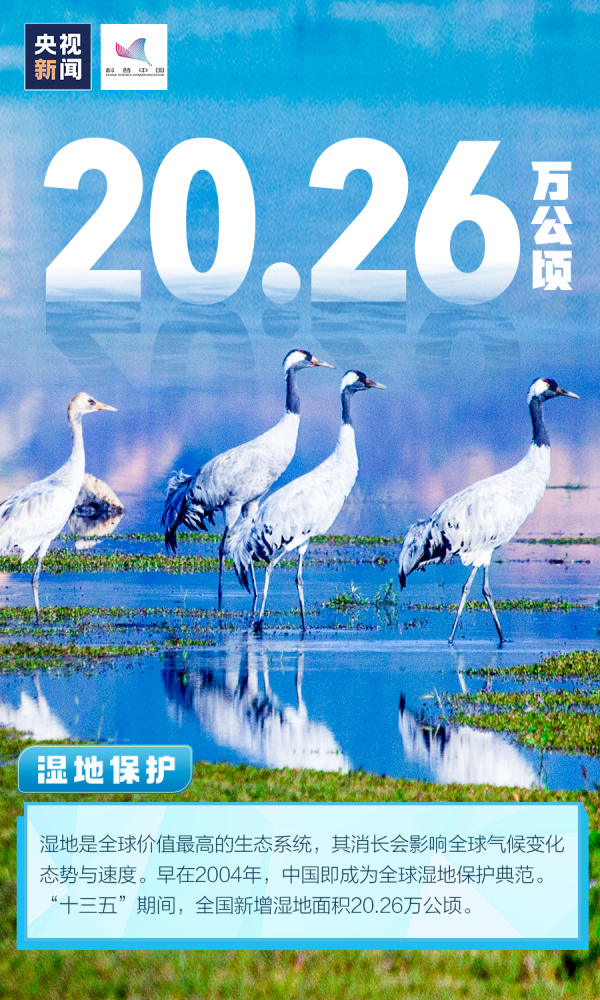 2022世界地球日手抄报内容 地球日手抄报内容30字 世界地球日手抄报简单又漂亮