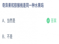 蚂蚁庄园答案4.13 奇异果和猕猴桃蚂蚁庄园 奇异果猕猴桃是同一种水果吗?