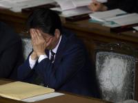 安倍晋三神社 、献贡品的行为