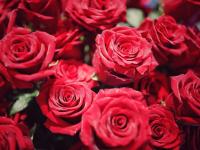 91岁爷爷买玫瑰花给90岁老伴庆生 几十年的爱情令人羡慕