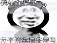 牛马是什么梗? 牛马含义出处介绍 牛马表情包大全