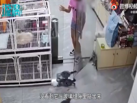 女孩在宠物店用玻璃门夹死小猫 现场详情图片曝光