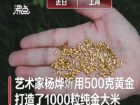 粮食浪费有多严重？用500克黄金制1000粒米扔黄浦江