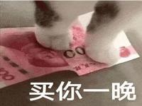 猫咪买你一晚表情包 买你一晚表情包一套