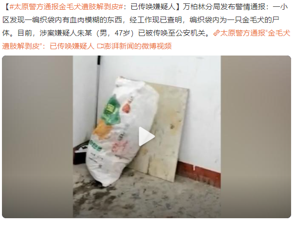 金毛被小区住户肢解剥皮怎么回事？太原警方通报金毛犬遭肢解剥皮