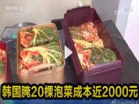 韩国腌20棵泡菜成本近2000元 韩国小葱价每公斤50元