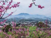 我国两地入选最佳旅游乡村 余村西递村入选最佳旅游乡村