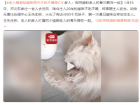 老人病逝后猫咪两天不吃不喝身亡 家人:将老人和猫葬在一起