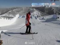 谷爱凌自由式滑雪女子坡面障碍技巧资格赛_回放完整视频
