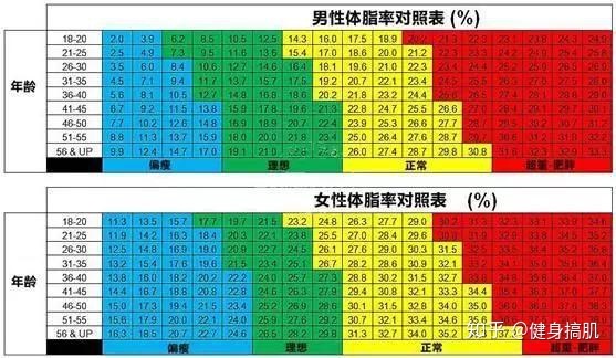 体脂率怎么计算