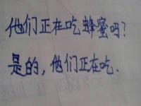 they是什么意思,they中文是什么意思？