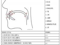 平舌音和翘舌音有哪些,平舌音字母和翘舌音字母有哪些？