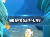 海洋生物中，被称为魔鬼鱼的是 神奇海洋6月15日答案