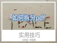 手机pdf怎么拆分成多个pdf 拆分pdf文件最简单的方法 