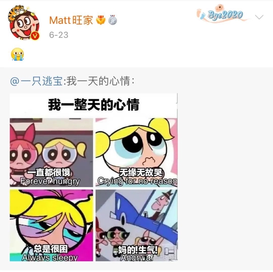 旺旺二公子是谁 旺家旺旺二公子 matt旺家二公子多大年纪