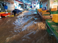 韩国暴雨 首尔上演现实版《寄生虫》 韩国暴雨洪水