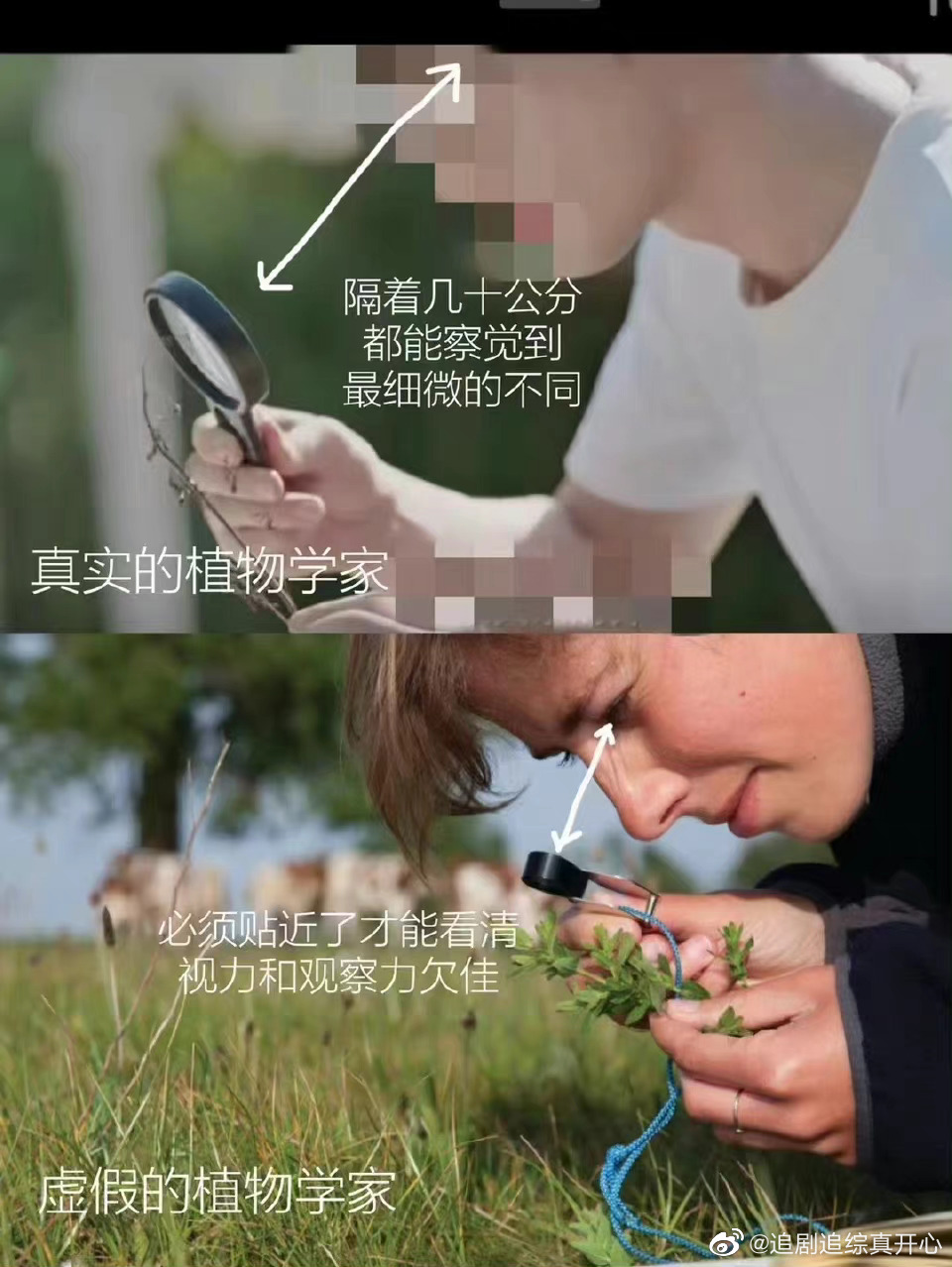 植物学家质疑两个人的小森林 两个人的小森林