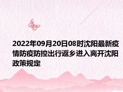 沈阳国庆出行返乡政策2022 沈阳国庆出行防疫政策 沈阳返乡需要做核酸和隔离吗