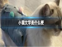 小猫文学语录 小猫文学语录图片 小猫文学是什么意思