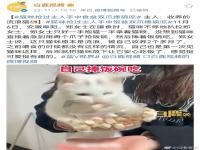 猫咪抢过主人手中食盆双爪捧碗吃 猫咪吃饭把爪子伸进碗里 猫吃饭喜欢叼到碗外面吃