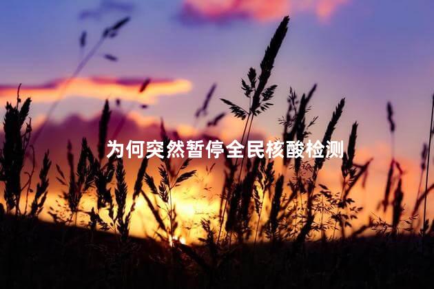 为何突然暂停全民核酸检测