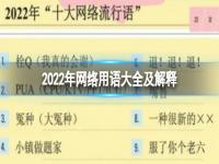 2022年网络用语大全及翻译 网络流行语2022年排行榜解释