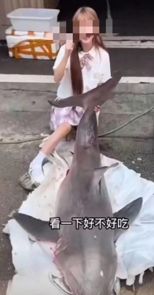 美食博主烹食噬人鲨被罚12.5万