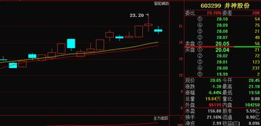 主力净流入为负为什么还涨