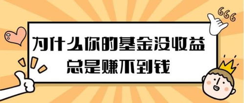 现在买什么基金最赚钱