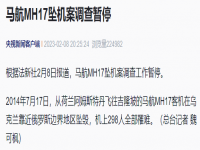 马航mh17坠机调查暂停 马航MH17被击落真实原因揭秘 