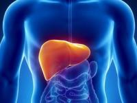 肝脏不好有什么表现症状有哪些,肝脏不好会有哪些表现？