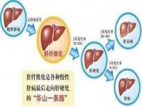 肝病毒携带者能治好吗,乙肝病毒携带者能自愈吗？