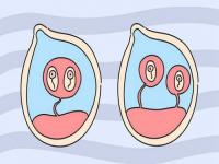 三代试管可以选择婴儿性别吗,【生育揭秘】想生龙凤胎、生双胞胎？可以选择性别吗？