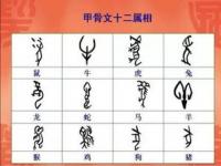 汉字的起源与演变,汉字的起源与演变