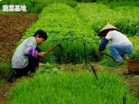 李耕耘种地吧少年,宝藏综艺种地吧少年热播