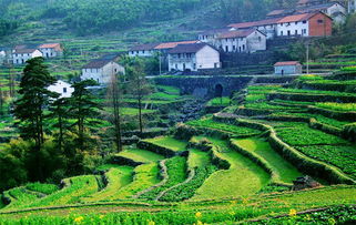 美丽乡村建设的标准